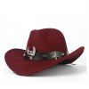 Chapeau Plume Steampunk Victorien – Image 4